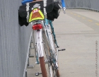 Switch Bridge