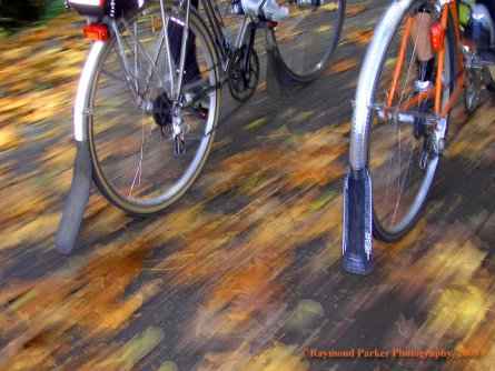 Bicycle Autumn
