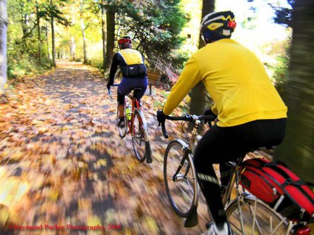 Autumn ride