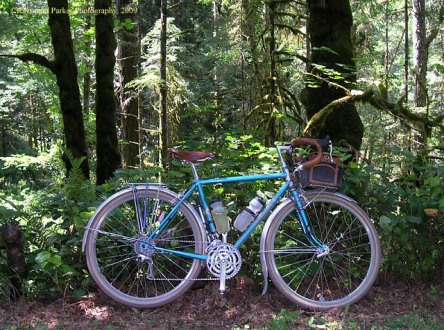 rb_bleriot-in-the-woods