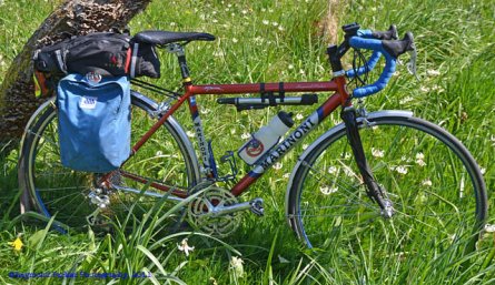 ciclo-spring